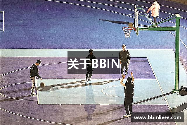 关于BBIN